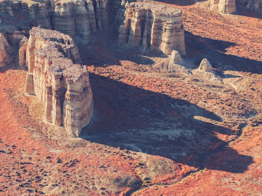 Cuộc trò chuyện tại quán cafe ở Việt Nam về những đổi mới của Cardano