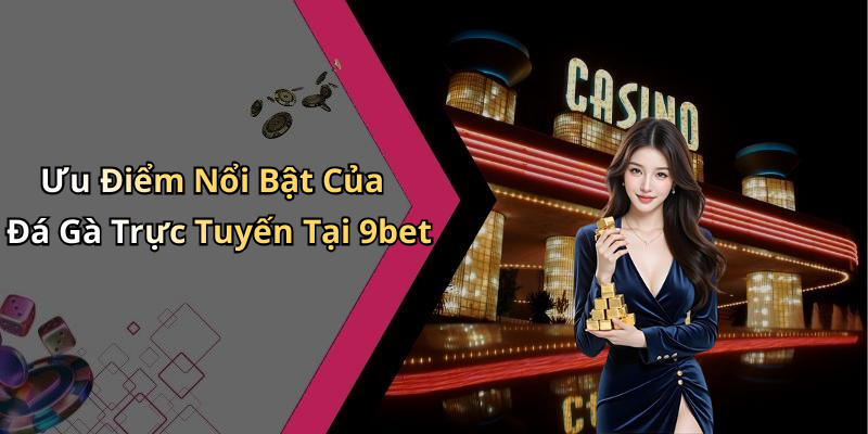 Ưu Điểm Nổi Bật Của Đá Gà Trực Tuyến Tại 9bet