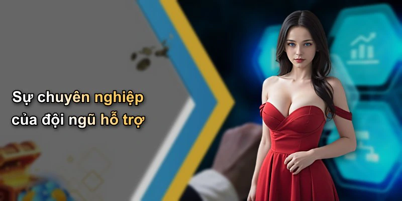 Sự chuyên nghiệp của đội ngũ hỗ trợ